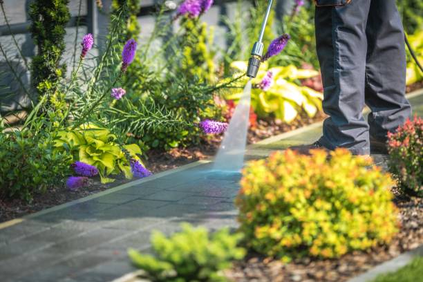 Best Winterizing Services  in Richmond, MN